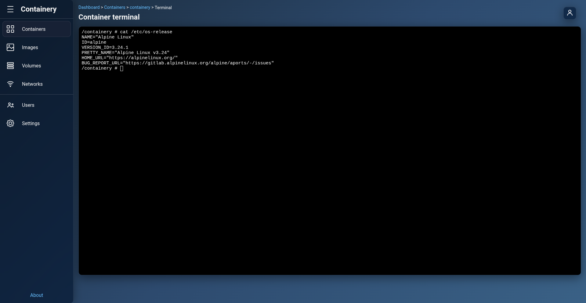 Interactive Web Terminal